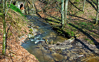 Sytuacja hydrologiczna na Wysoczyźnie Elbląskiej i Żuławach wraca do normy Sytuacja hydrologiczna na Wysoczyźnie Elbląskiej i Żuławach wraca do normy